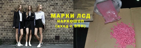 гидра Аркадак