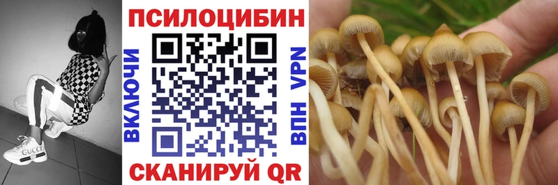 Псилоцибиновые грибы Psilocybe  продажа наркотиков  Ленинск-Кузнецкий 