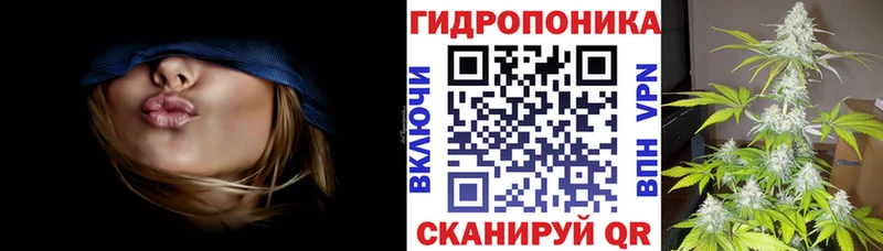Канабис Amnesia где можно купить Ленинск-Кузнецкий